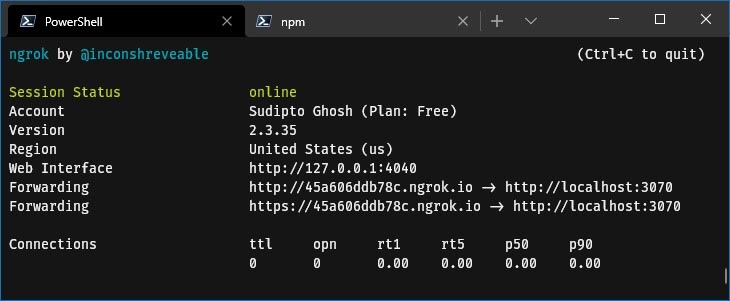 Screenshot of ngrok running in a terminal emulator