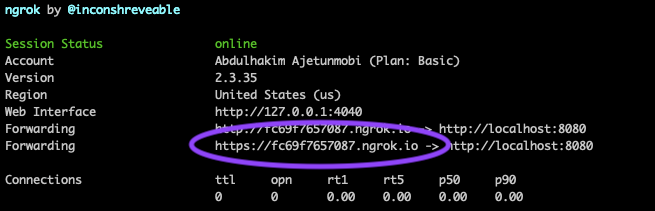 ngrok running on port 8080