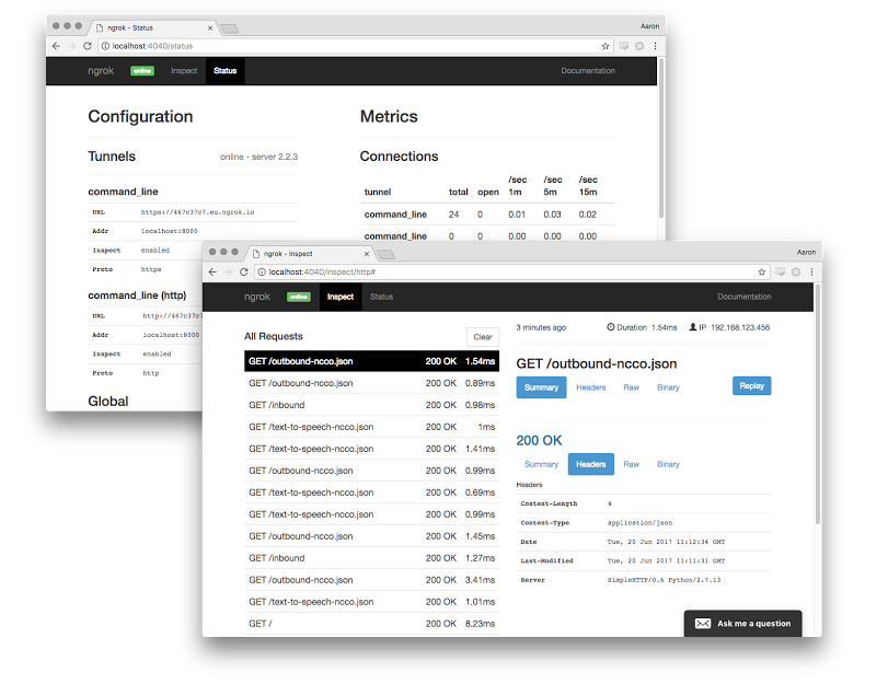 ngrok web console