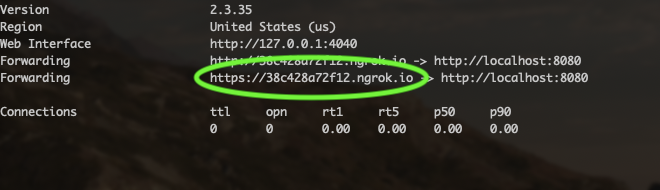 ngrok terminal output