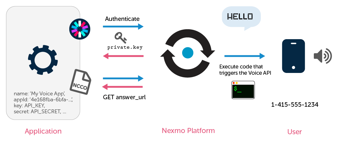 Vonage Voice API make call diagram