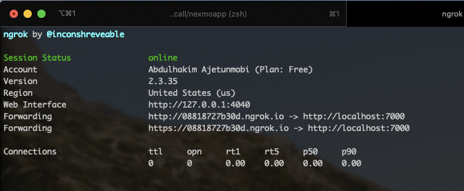 Ngrok running in the terminal window