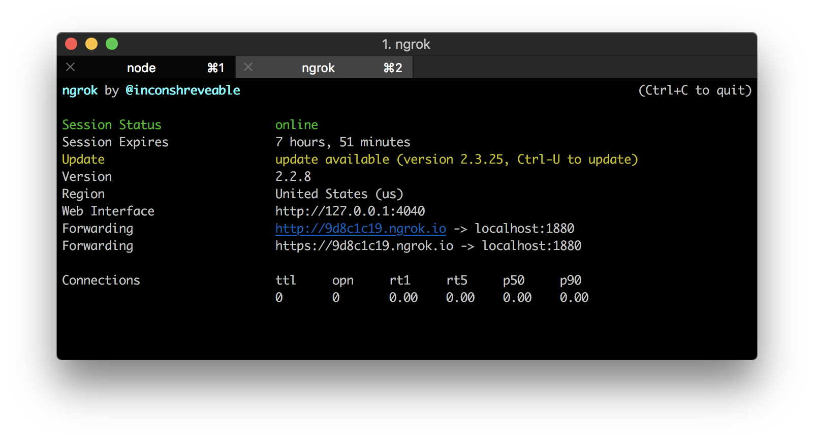 Starting an ngrok tunnel in a terminal window