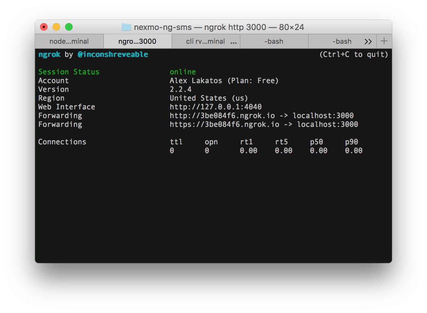 start ngrok in terminal