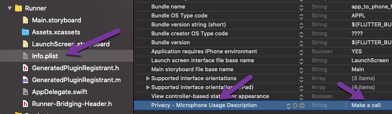 Setting add microphone permission