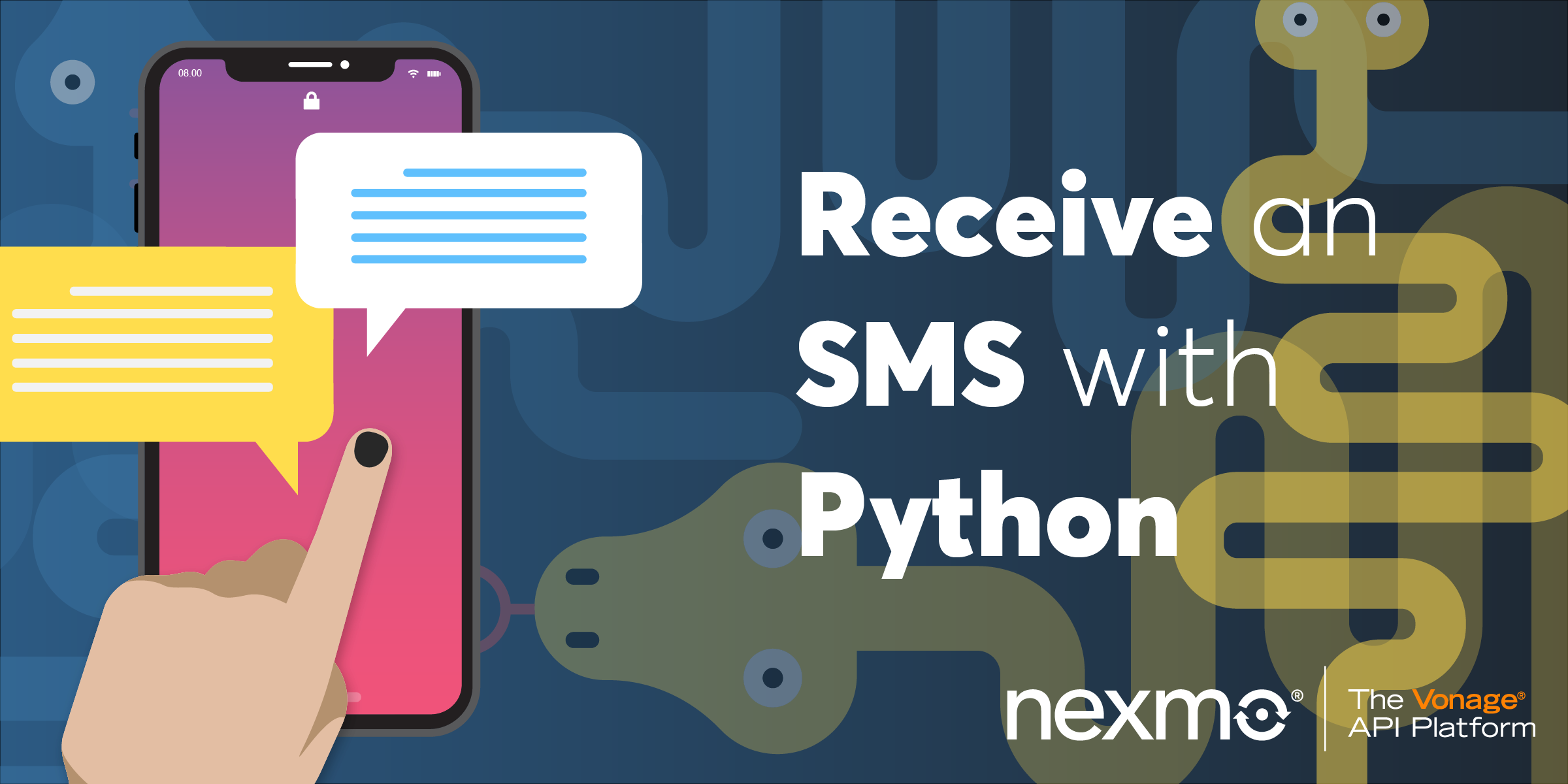 Receive an SMS with Python