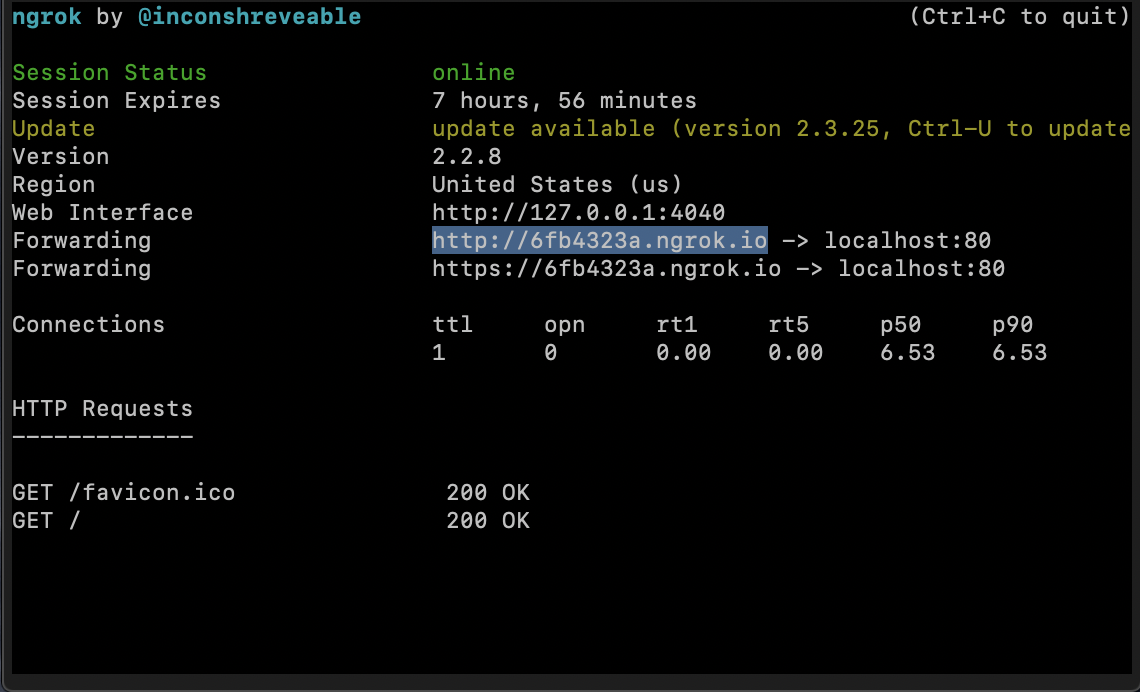 The ngrok terminal